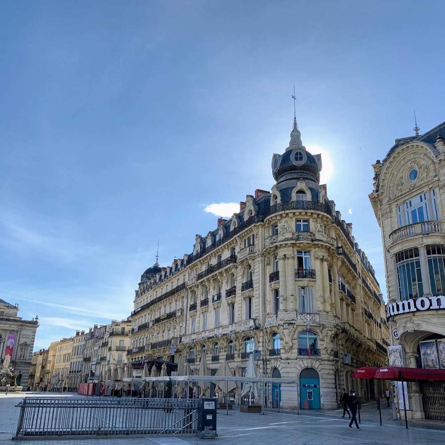 Home Chic Home - La Terrasse Bazille - Netflix Montpellier Eksteriør billede